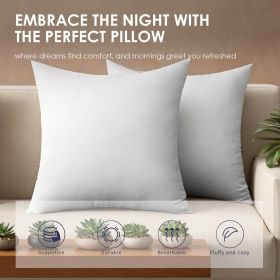 White Square Pillow Two Bubble Bags Suitable For Bed Cushions, Sofa Cushions, Garden Cushions, Cushion Core, Breathable, Hand Washable, OKO-100 C